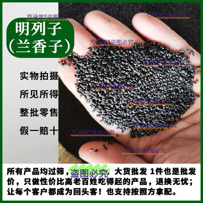 光明子药材材明列子茶罗列子