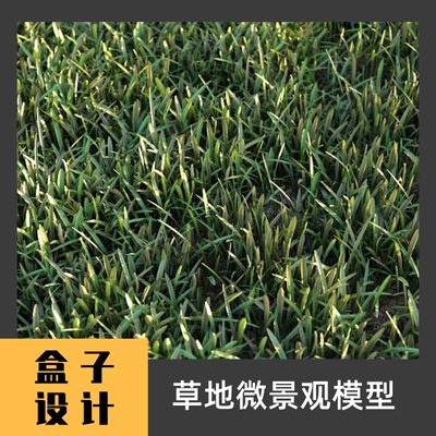 草地植物花草3D模型建模渲染 犀牛Rhino c4d maya 3dmax设计素材