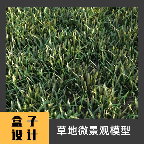 草地植物花草3D模型建模渲染 犀牛Rhino c4d maya 3dmax设计素材