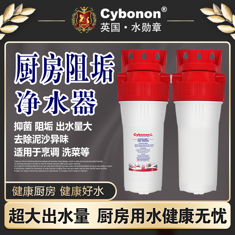 水勋章HBP-T净水器家用厨房自来水活性炭去余氯复合阻垢抑垢过滤