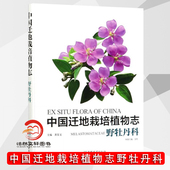 者_金红责_何增明王全总_黄宏中国林业出版 Melastomat9787521905458 社自然科学书籍 野牡丹科 中国迁地栽培植物志