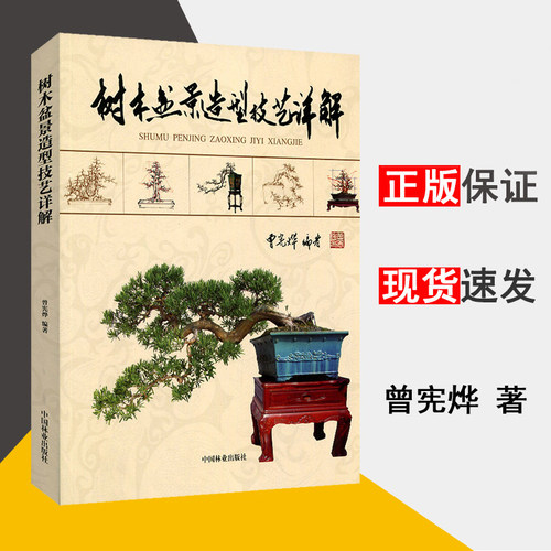 树木盆景造型技艺详解 曾宪烨 盆景制作书盆景造型书 微型小型特大庭院室内四季野生假山树木盆景养护书籍家庭园艺种花