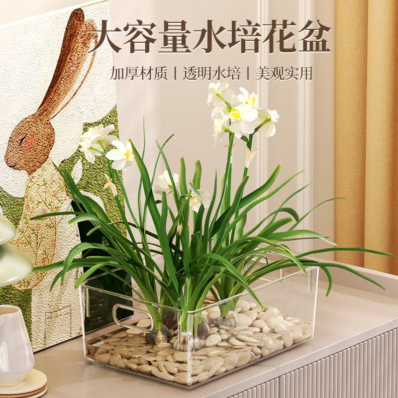 大容量水养水仙花盆带提手盆栽