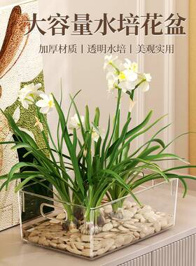 大容量水养水仙花盆带提手盆栽