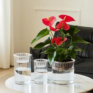 亚克力透明仿玻璃花瓶水养绿萝花盆大号直筒鱼缸客厅桌面花器摆件