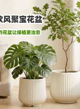 塑料花盆大号轻奢高级感花瓶