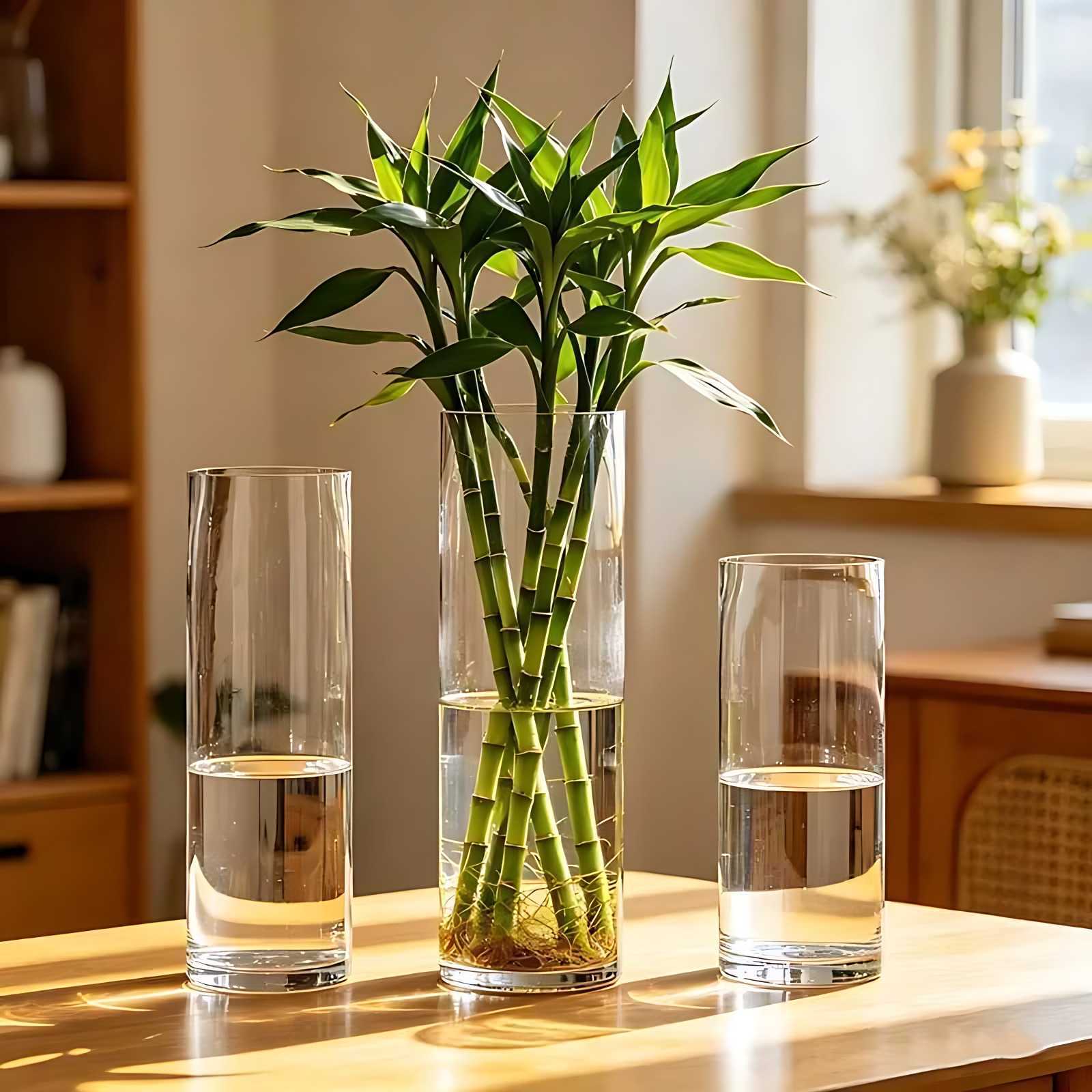 水养富贵竹专用高级透明塑料花瓶