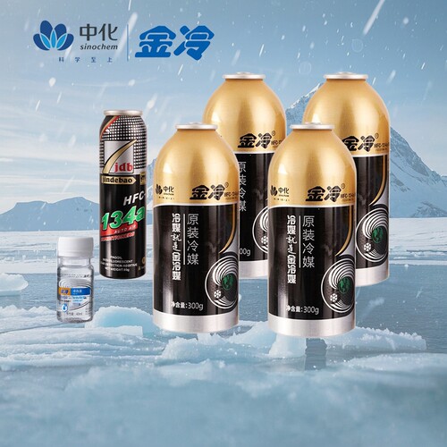 金冷冷媒R134a汽车加氟工具套装