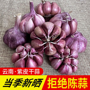 （新客立减）新蒜干蒜大蒜红皮紫皮新鲜大蒜头食用干蒜