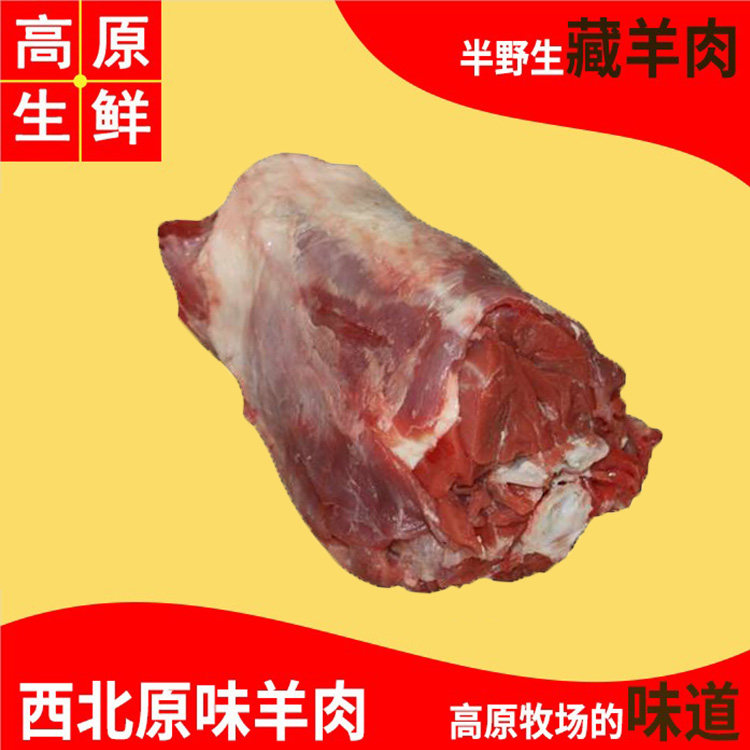 西北甘肃青海祁连山高原藏羊肉羊脊背/羊蝎子