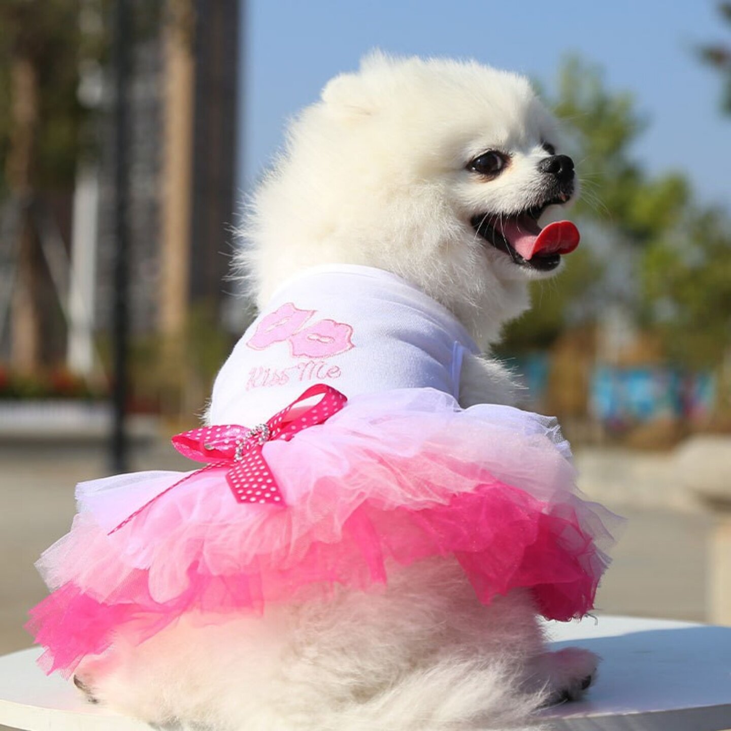 狗猫夏季薄款可爱吊带宠物衣服