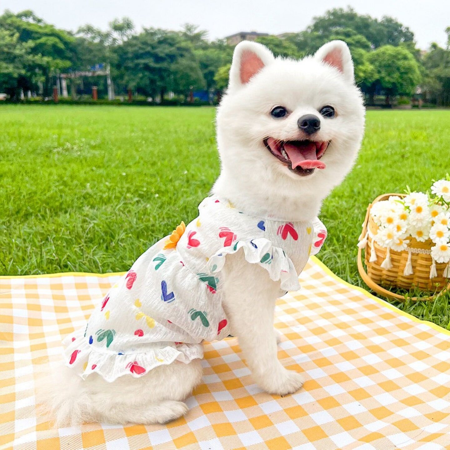 夏季可牵引防脏狗猫爱心公主裙