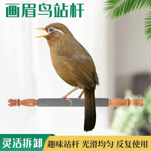 八哥画眉磨砂站杆磨嘴磨爪栖息