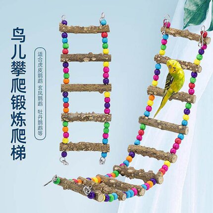 牡丹花椒木秋千吊环悬挂云梯虎皮牡丹玄凤啃咬彩色珠链鸟攀爬训练