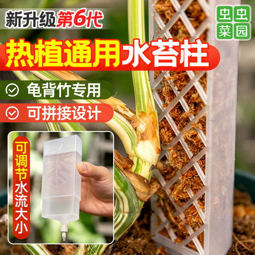 新型龟背竹水苔柱攀爬柱