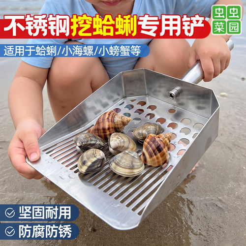 不锈钢挖蛤蜊专用铲子