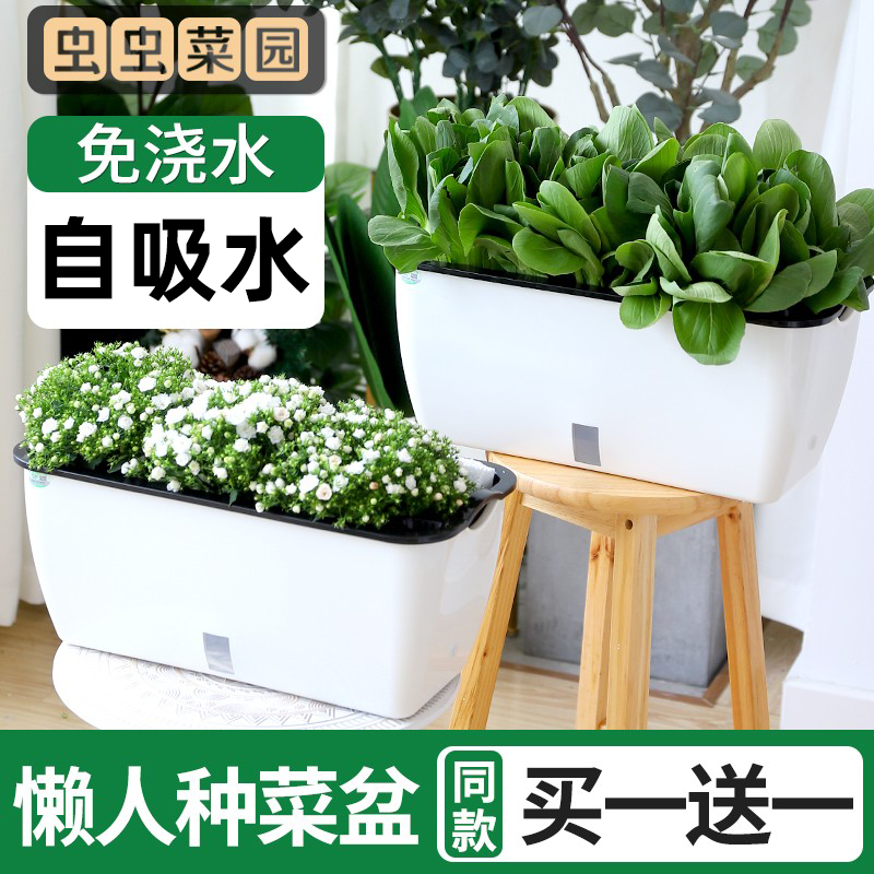 塑料懒人花盆自动吸水种菜盆