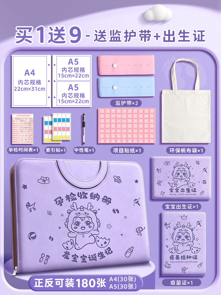 임신 검진 수납책자 산전 검진 수납 책자 핸드백 임신 파일 책자 산전 검진 보고서 싱글 드래곤 베이비 임산부 B-초음파 수납 책자 임신 초기 용품 산전 검진 정보 수납 가방 폴더