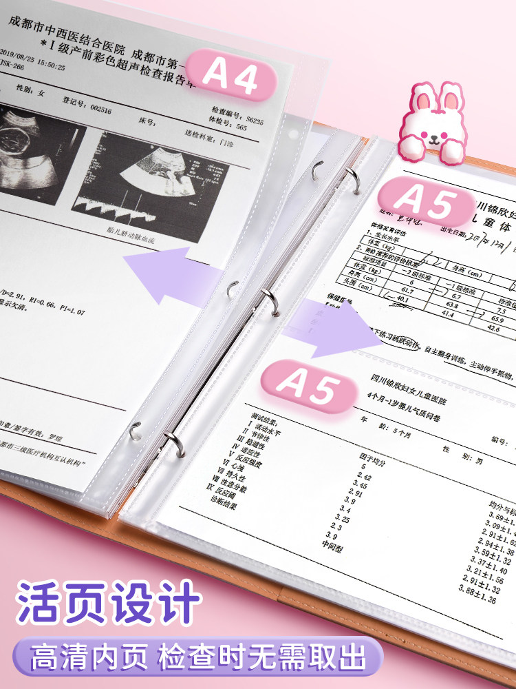 토끼  임신 테스트 보관 책자 보고서 시트 임산부 B-초음파 수동 산전 검진 보고서 목록 수집 정보