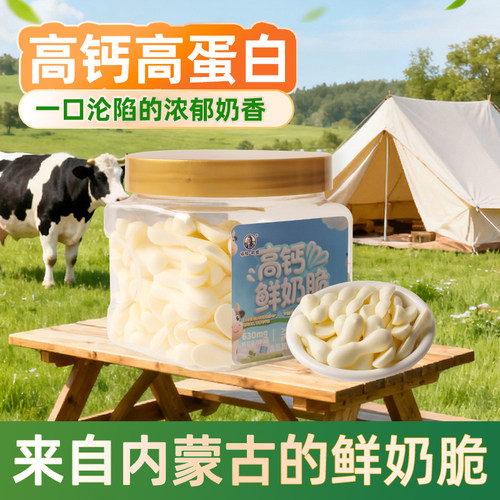 塔拉额吉内蒙特产烤奶皮奶脆片
