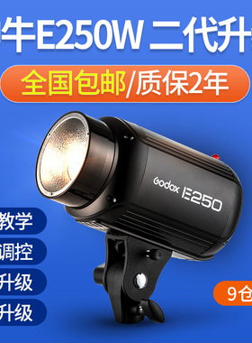 神牛E250W影室闪光灯室内拍照小型照相补光灯服装人像拍摄静物灯拍照灯摄影灯室内摄影棚闪光灯影楼灯摄影灯