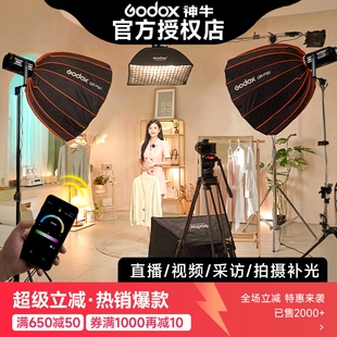 Godox神牛SL200IIIBi直播补光灯LED双色温200w摄影灯柔光直播间灯服装 主播拍摄美食人像拍照视频大功率打光灯