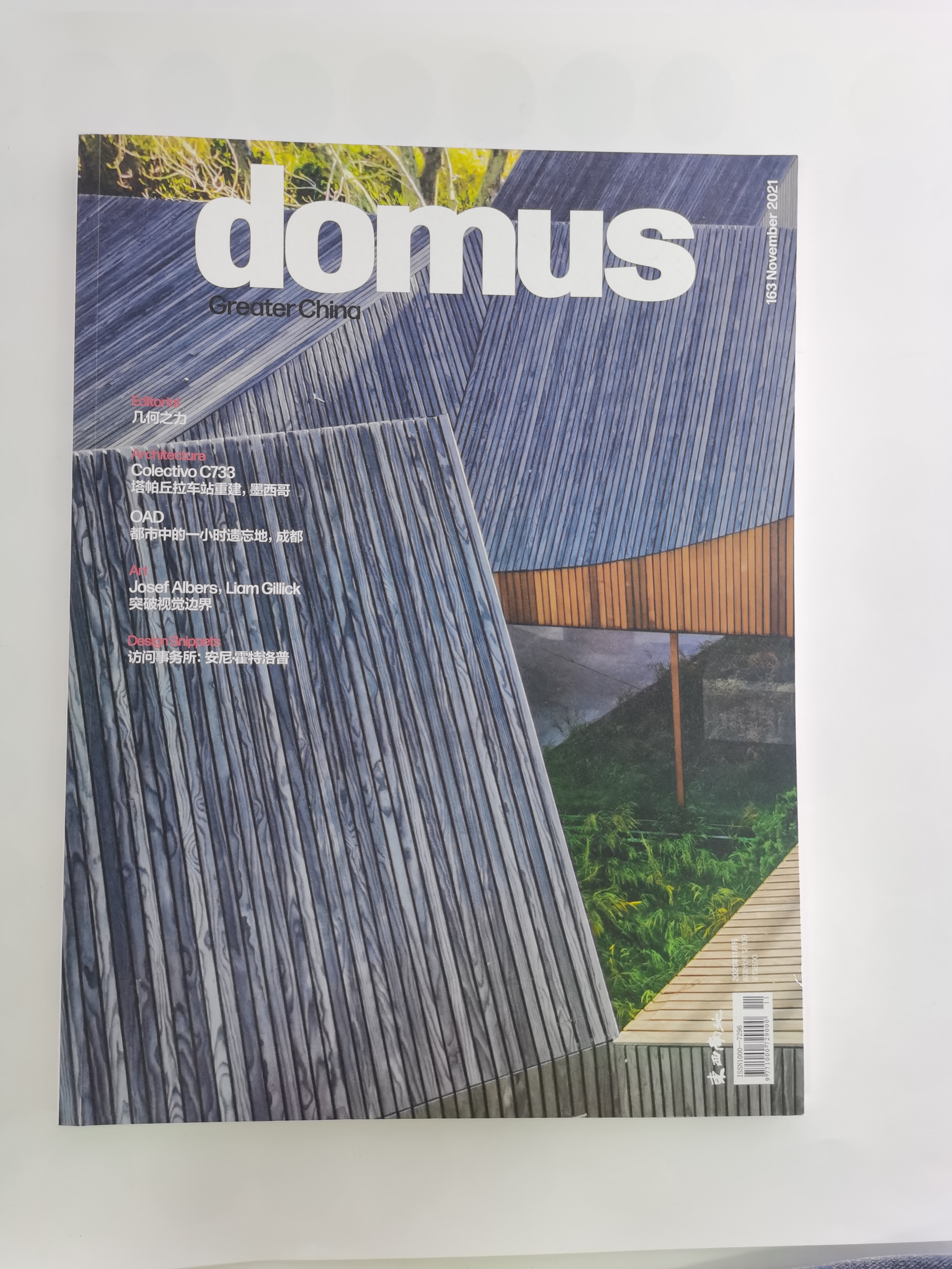 DOMUSCHINA国际中文版