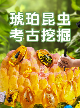 琥珀昆虫考古挖掘玩具儿童手工diy化石寻宝探索科学教育益智玩具