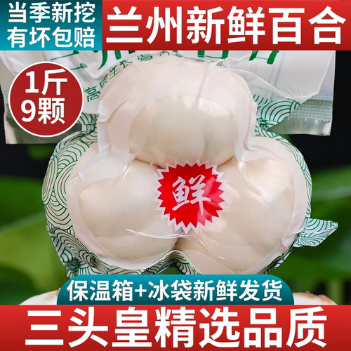 兰州九年生甜百合当季现挖直发