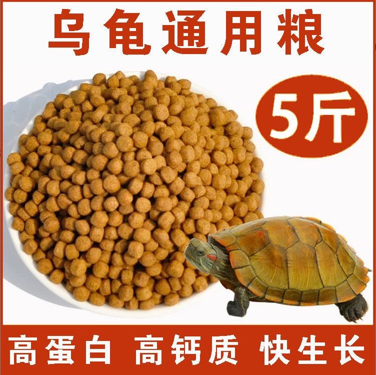 龟粮乌龟粮食饲料巴西龟水龟草龟鳄龟大小龟宠物龟粮食开口粮饲料图片