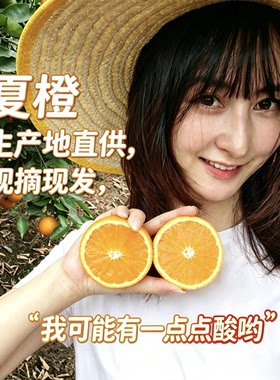 湖北秭归夏橙当季现摘现发孕妇榨汁手剥橙整箱包邮酸酸甜甜汁水多