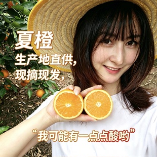 湖北秭归夏橙当季现摘现发孕妇榨汁手剥橙整箱包邮酸酸甜甜汁水多