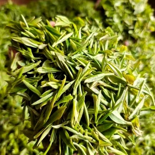 半手工骑火茶 2026新茶明前特级龙井100克群体种兰香