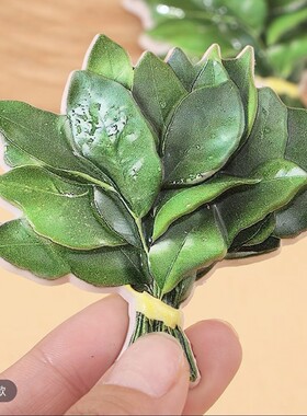 磁吸柚子树叶去晦气冰箱贴转运幸运亚克力创意小众礼物冰柜装饰品