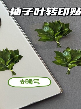 柚子叶转印贴水晶标手机空调去晦气转运防水平板笔记本水杯装饰贴