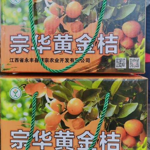 江西宗华牌黄金桔当季新鲜水果纯甜无酸脆皮黄金桔实惠装包邮