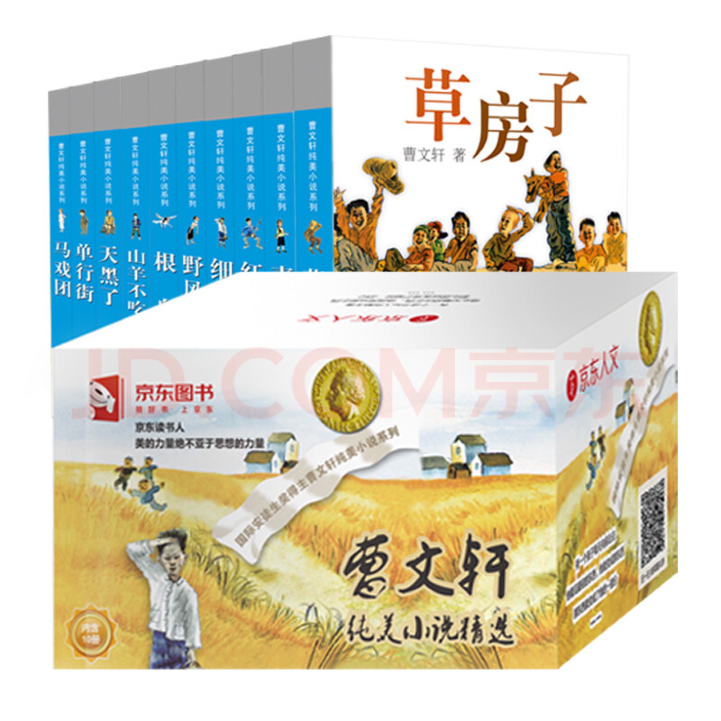 【礼盒10册】曹文轩纯美小说精选礼盒10册(草房子青铜葵花红瓦黑瓦细米野风车根鸟山羊不吃天堂草天黑了单行街马戏团)