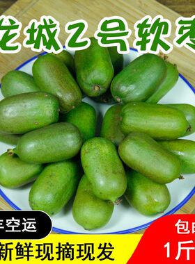 1斤顺丰包邮丹东特产软枣猕猴桃新鲜软枣子奇艺莓圆枣子