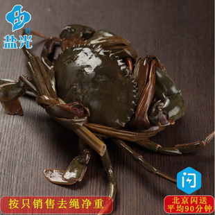 公青蟹青蟹350-500g三门青蟹满肉按只销售北京同城闪送鲜活海蟹