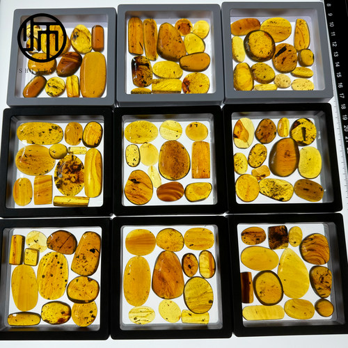 天然真品白垩纪虫子随机8-10颗琥珀原石（颗颗带虫）