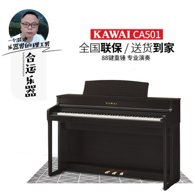 KAWAICA501家用电钢琴准专业