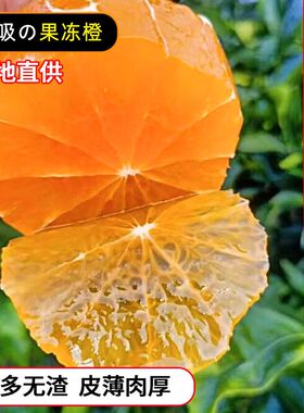 四川正宗爱媛38号丹棱果冻橙眉山当季橙子水果新鲜柑橘橙香甜薄皮