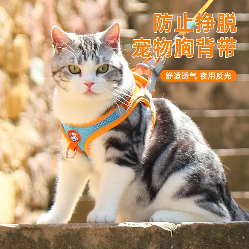 猫咪牵引绳背心式透气反光胸背带防挣脱遛猫绳宠物牵引绳宠物用品