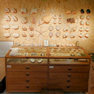 博物馆标本样品展示柜定制