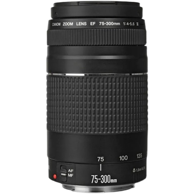 Canon/佳能 EF 75-300mm F4-5.6 中远摄变焦全画幅单反镜头人像