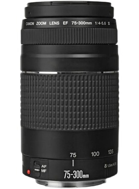 Canon/佳能 EF 75-300mm F4-5.6 中远摄变焦全画幅单反镜头人像