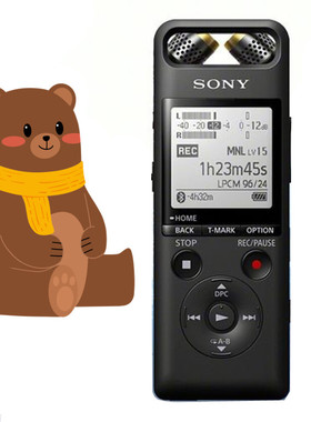 SONY索尼录音笔SX2000 SX1000 SX950 SX850 813专业高清MP3播放器