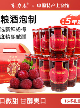 齐力春杨梅酒礼盒装江西上饶特产
