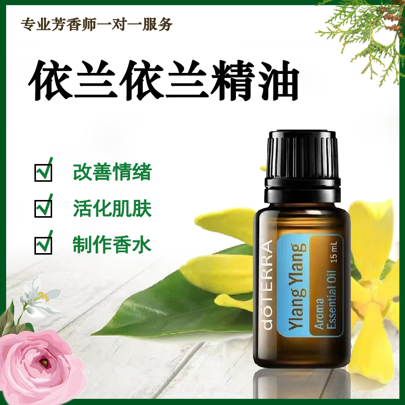 多特瑞依兰依兰单方精油调制香水