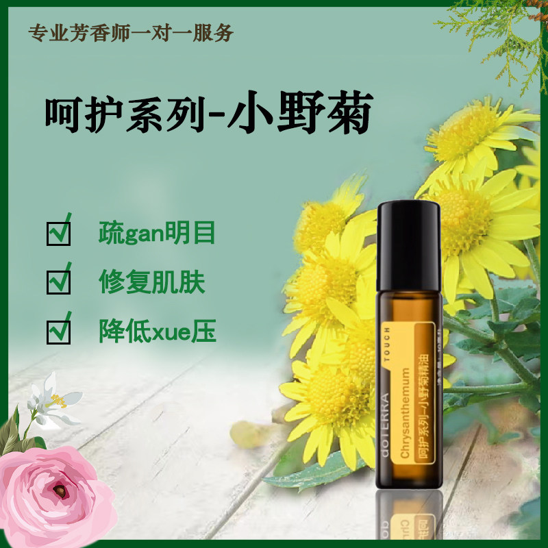 dotrrra多特瑞呵护小野菊复方精油10ml舒缓情绪按摩皮肤